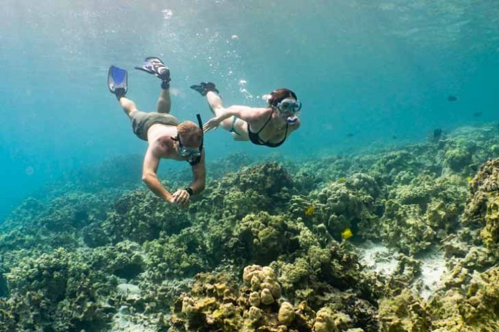 a snorkeling couple swimming side by side underwater