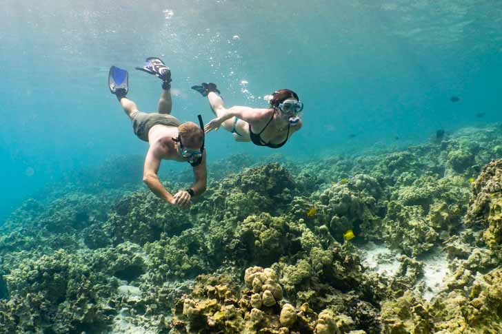 Kona-Snorkel-Tours-10001 a snorkeling couple swimming side by side underwater