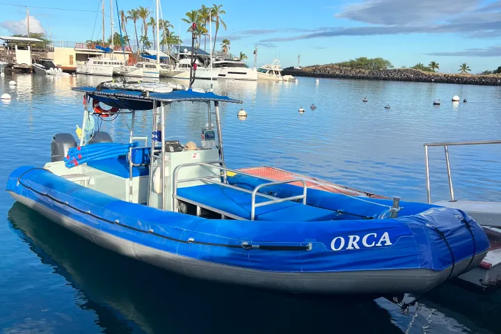 Blue boat named ORCA docked in a marina with clear skies and palm trees.