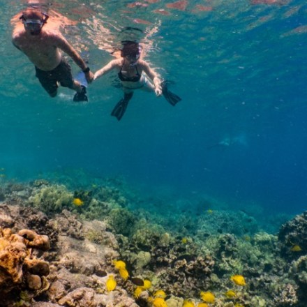 a man swimming in the water