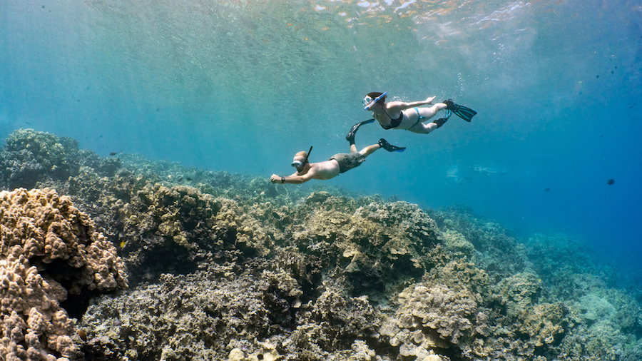 a man flying through the air while riding a wave in the ocean