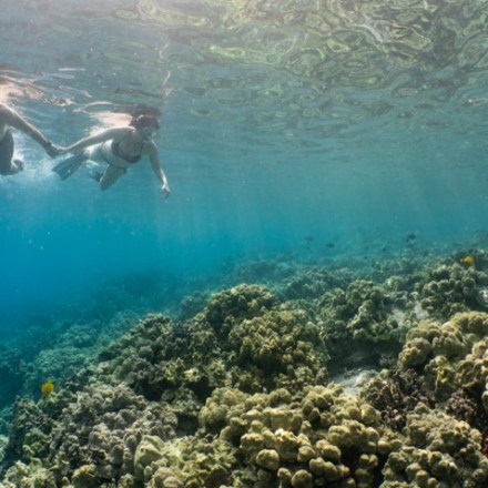 a man swimming in the water