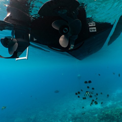 a person swimming in water