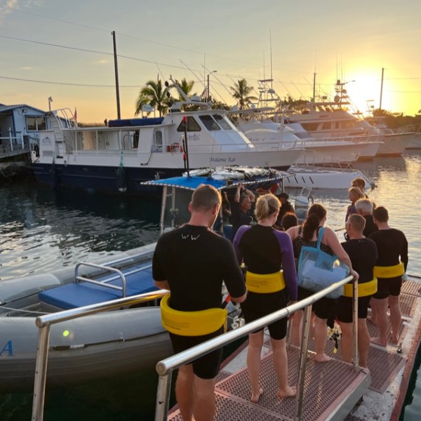 a line of people walk down a gangplank to a waiting tour boat
