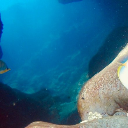 underwater view of a swimming pool
