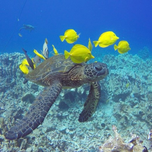 a statue of a person