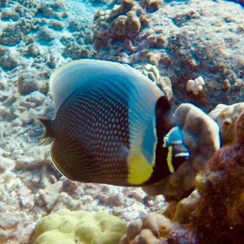 a person holding a fish