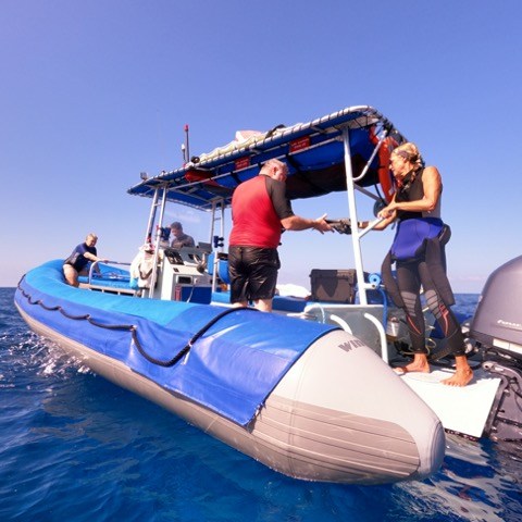 a group of people riding on the back of a boat