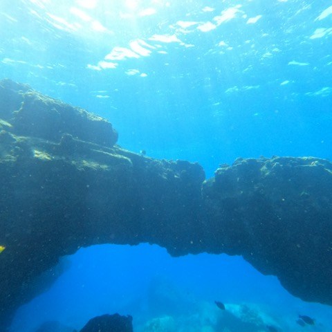 underwater view of a mountain