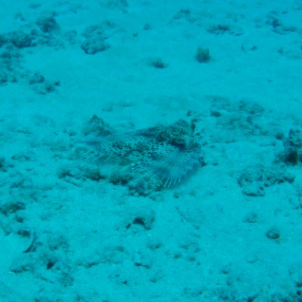 a large pool of water