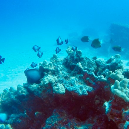 underwater view of a swimming pool