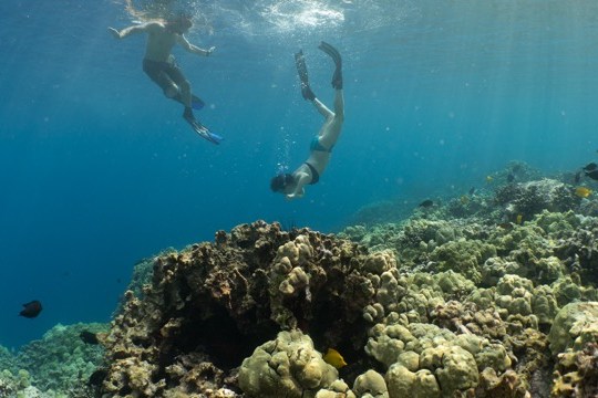 a person swimming in the water