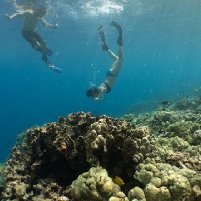 a person swimming in the water