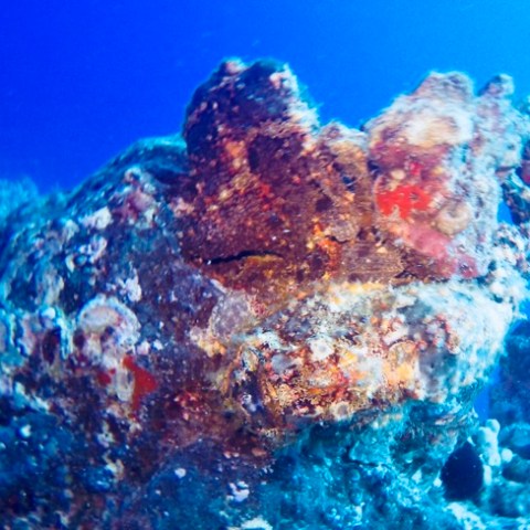 underwater view of a swimming pool