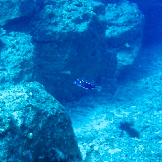 a blue pool of water
