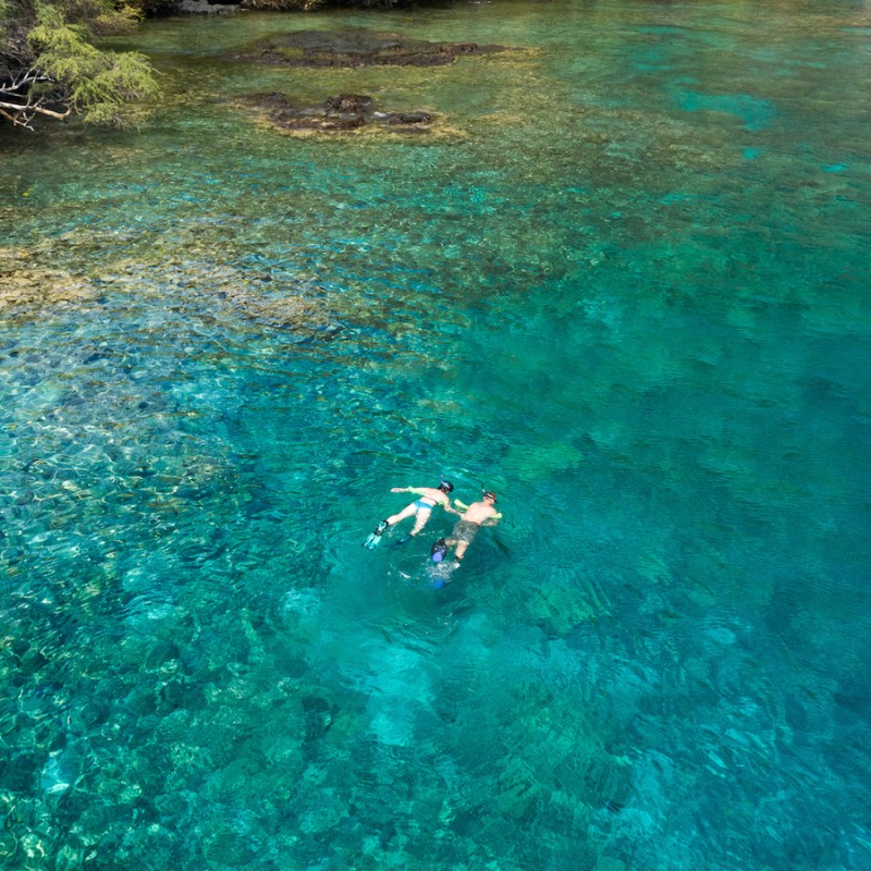 a person swimming in a body of water