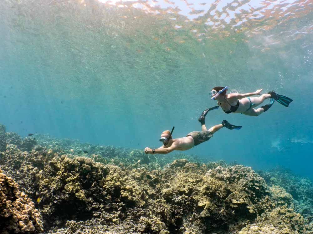 Kona-Snorkel-Tours-56 2 snorkelers look like they are flying underwater with beautiful light overhead and a golden reef below