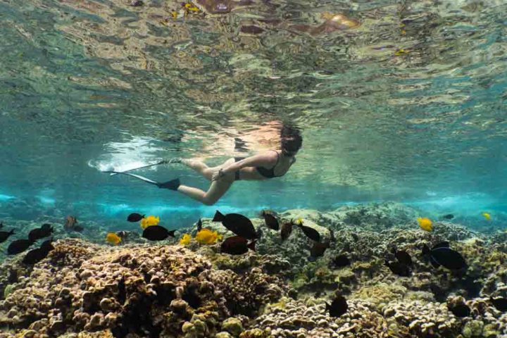 a woman snorkels on the reef underwater
