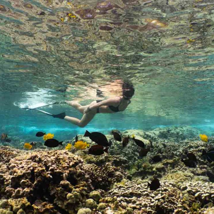 a woman snorkels on the reef underwater