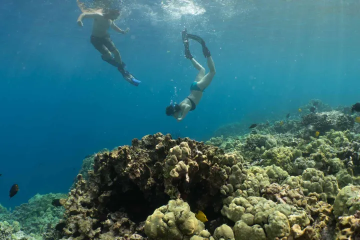 a person swimming in the water