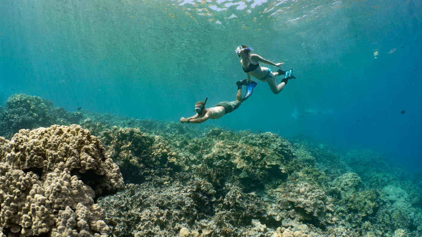 Kailua-Kona-Morning-Snorkel-1 A man and a woman snorkel underwater over a beautiful golden reef with light rays streaming down