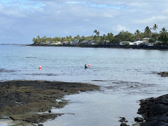 a rocky beach with calm water and a snorkeler standing on the coral below. The coastline streatches back in the distance with homes among the trees