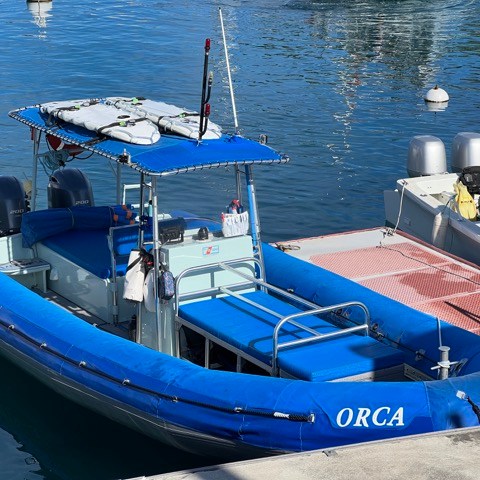 a blue and white boat sitting next to a body of water