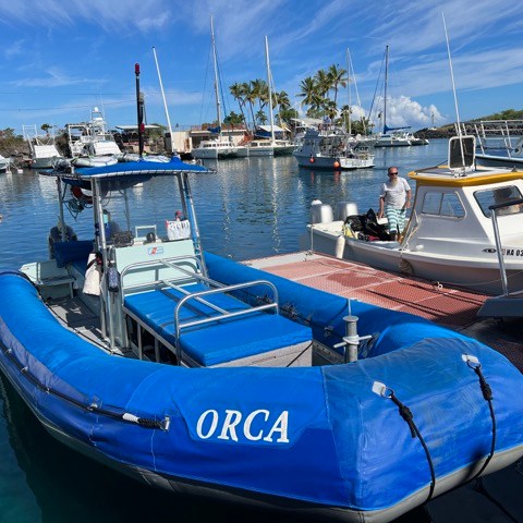 a blue boat docked next to a body of water