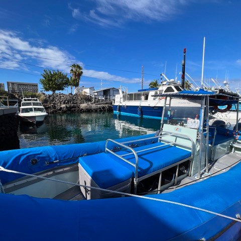 a blue boat docked in the water