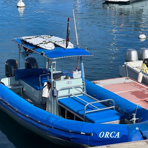 a blue boat docked next to a body of water