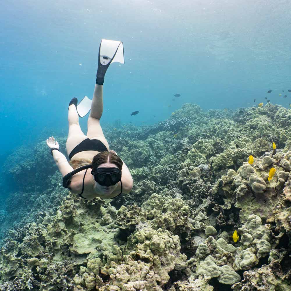 Do-you-have-to-wear-fins-while-snorkeling-1 a woman with long clear fins swims over the reef in Kona Hawaii