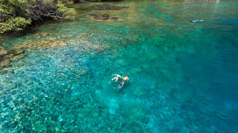 Does-Kona-have-good-snorkeling-1 a couple swims on the surface above a coral reef with lava rock coastline nearby and a tree overhanging the water