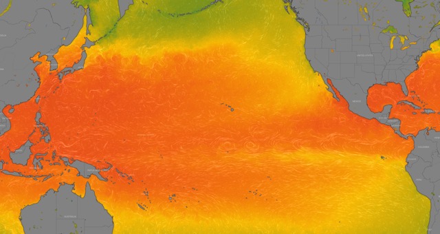 Water-Temperature-in-Kona-Hawaii map of the pacific ocean with water temperature heat map