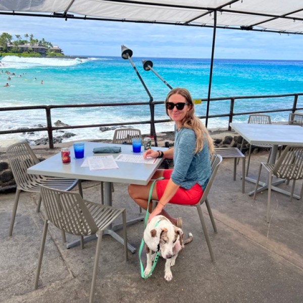 a dog sitting on a chair in front of a beach