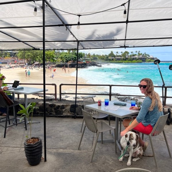 a person sitting on a bench with a dog