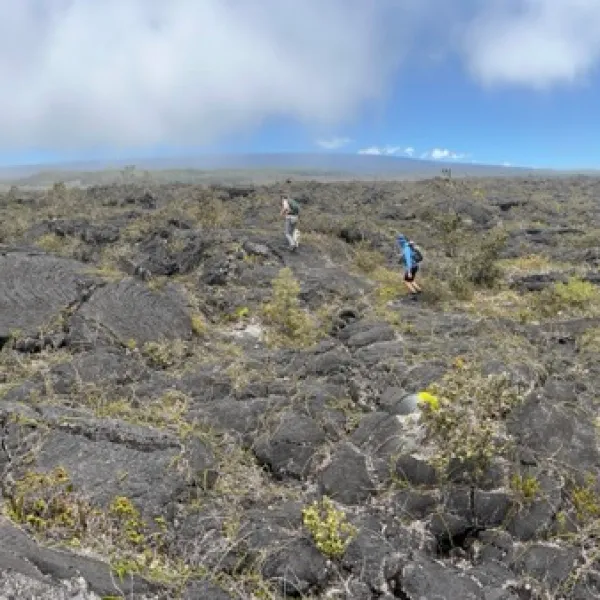 a close up of a hillside