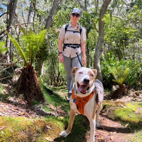 a large brown dog standing next to a forest