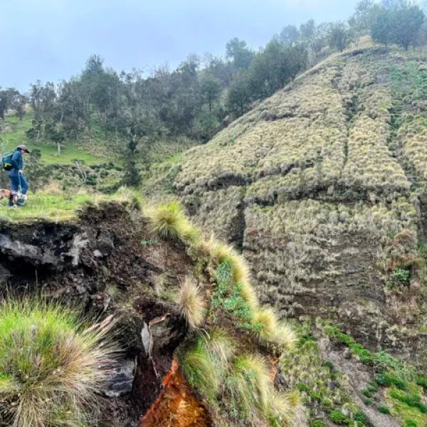 a woman and dog walk to a cliff edge with a misty grass covered hill behind