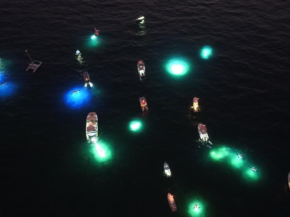 Manta-Ray-Night-Snorkel-Kona-1284532 boats sit in the ocean at night with lights in the water nearby