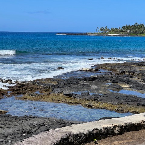 a sandy beach next to the ocean