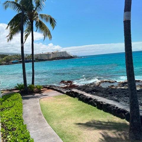a beach with palm trees and a body of water