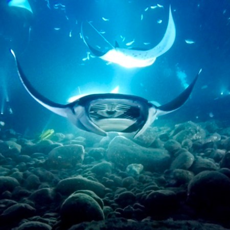 underwater view of the earth from space