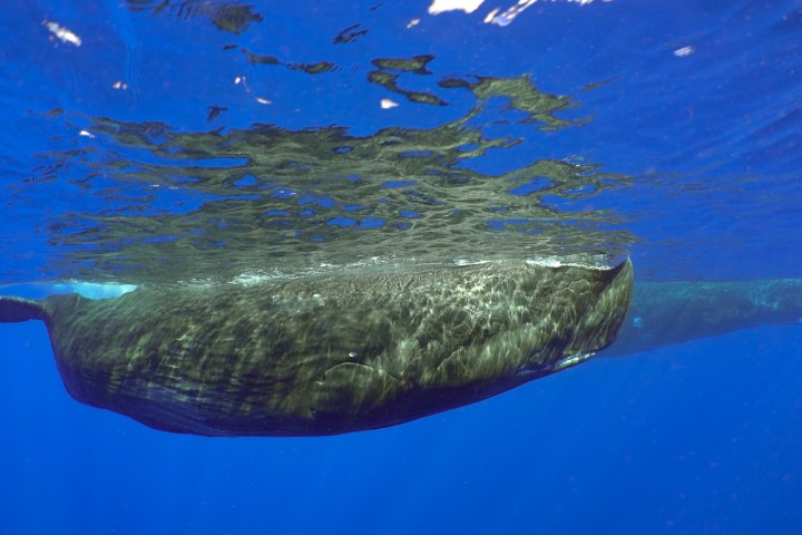 a blue pool of water