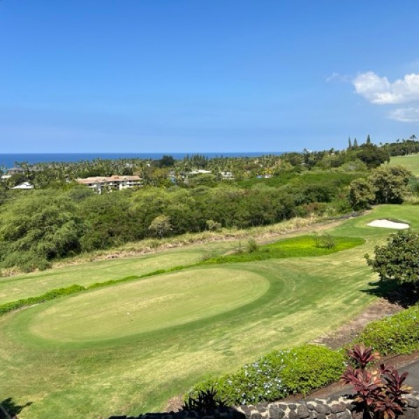 a view of the golf course and ocean with lots of tropical trees