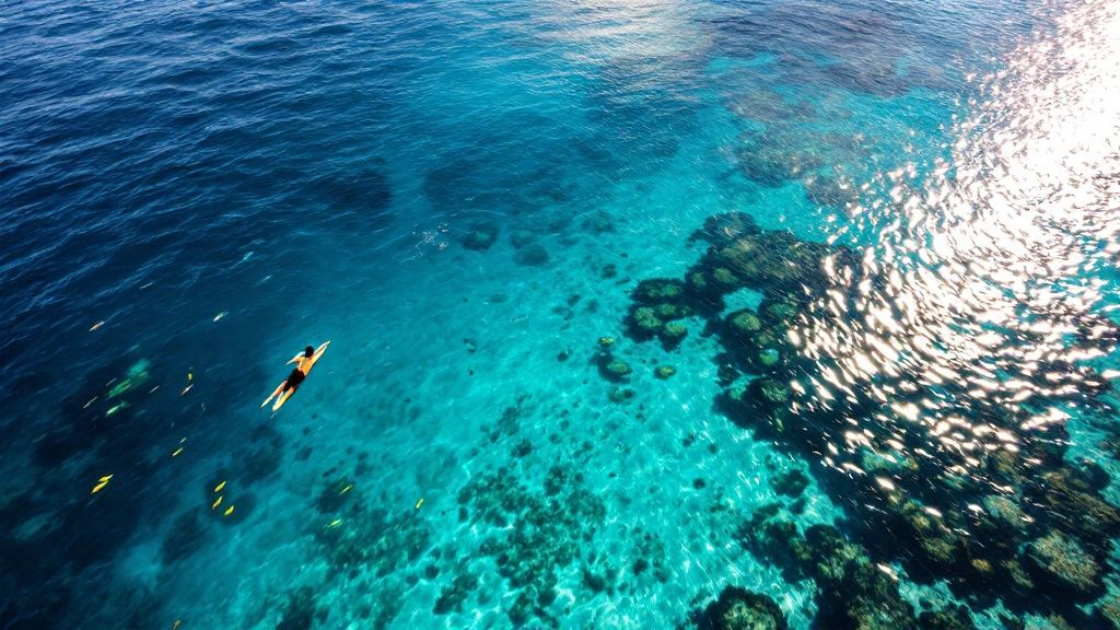 thumbnail_eb2f3e Person snorkeling over coral reef in clear blue ocean water.