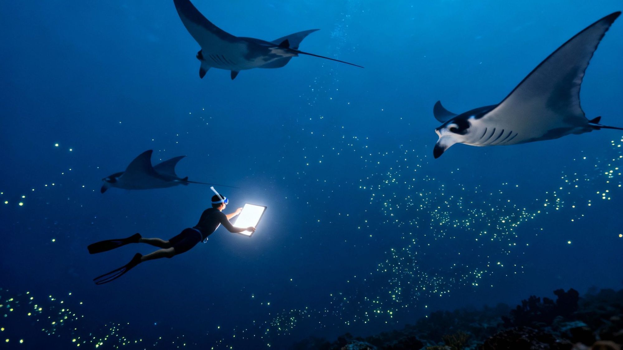 Diver using a tablet underwater surrounded by manta rays and bioluminescent particles.