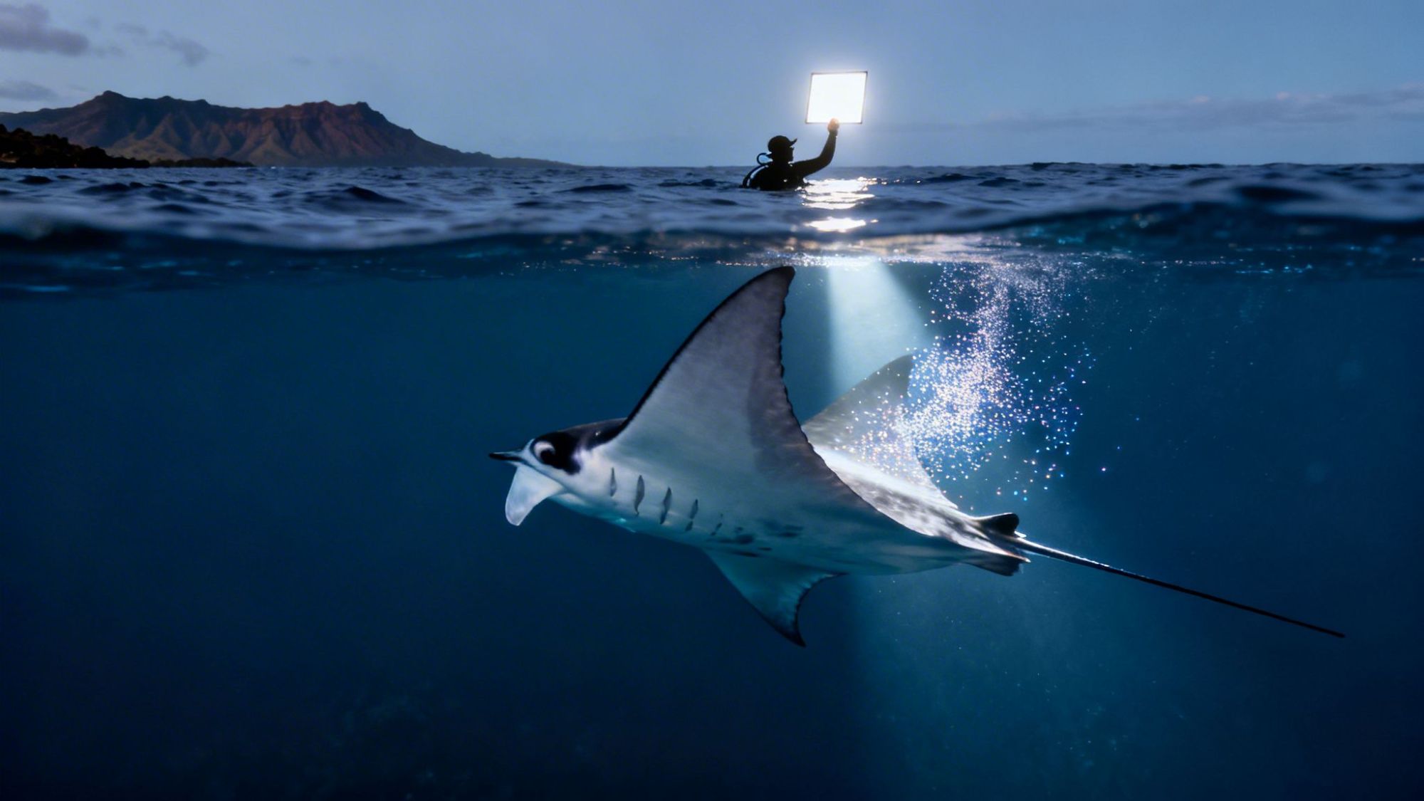 Underwater split view of diver with light and manta ray near ocean surface at dusk.
