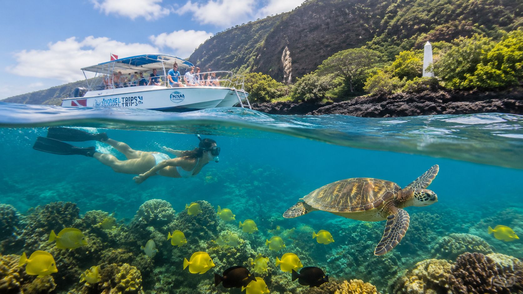 Snorkeler near sea turtle and fish, with boat and cliffs above water.