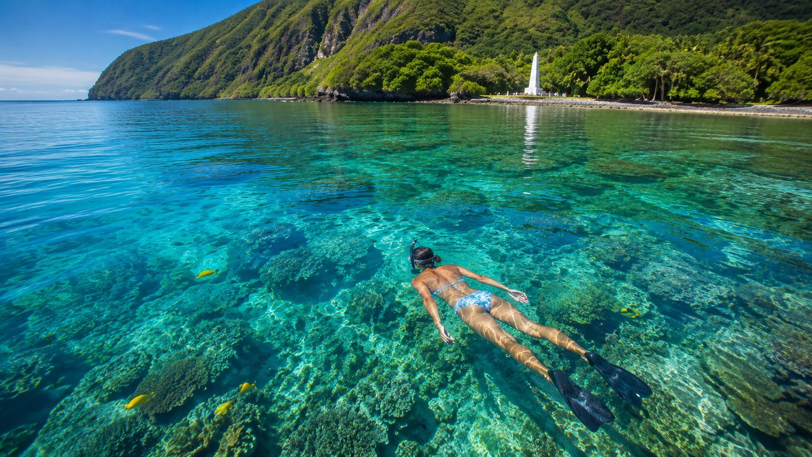 Person snorkeling over coral reef near lush, mountainous coastline with a white monument.