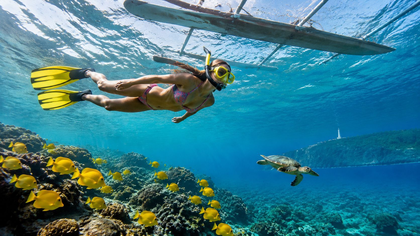 Person snorkeling near coral reef with yellow fish and a turtle.